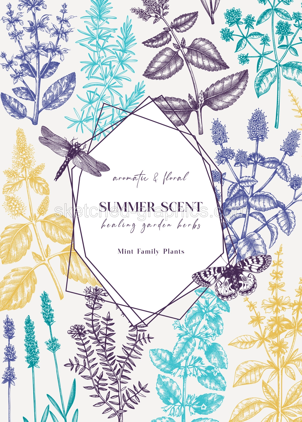 Hand-sketched Mints and Balms card or invitation design. Mints plants and insects illustration. Medicinal herbs and summer flowers background. Herbal tea ingredients template. Botanical sketches Illustration